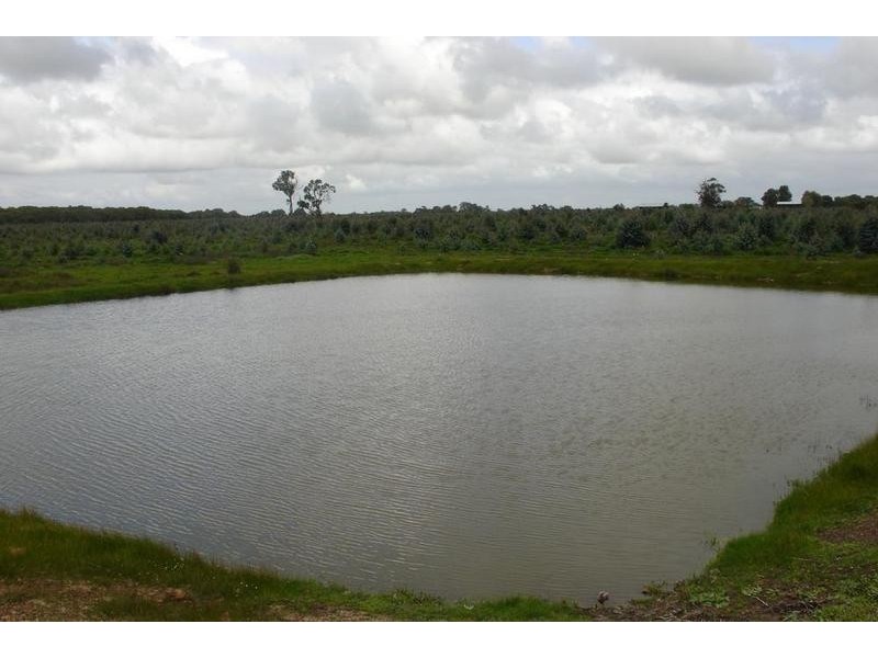 Loc 2014 Downs Road, Tutunup WA 6280