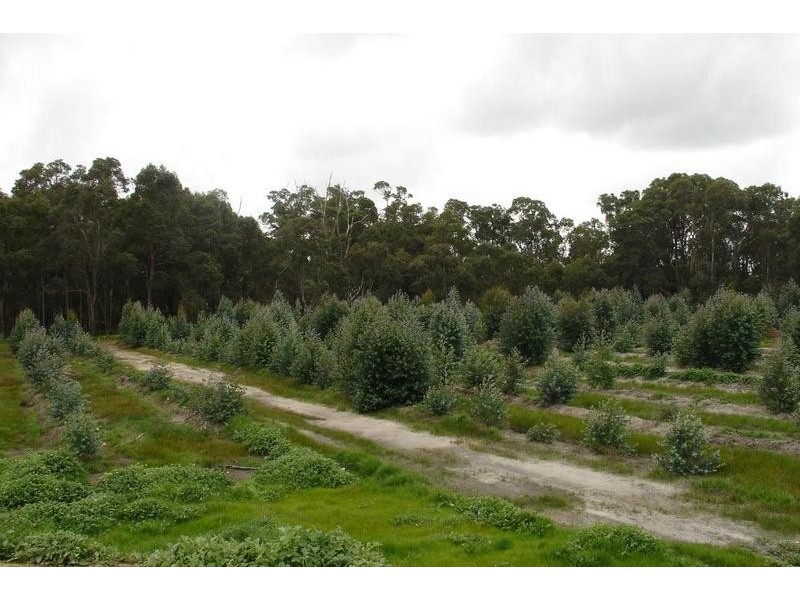 Loc 2014 Downs Road, Tutunup WA 6280