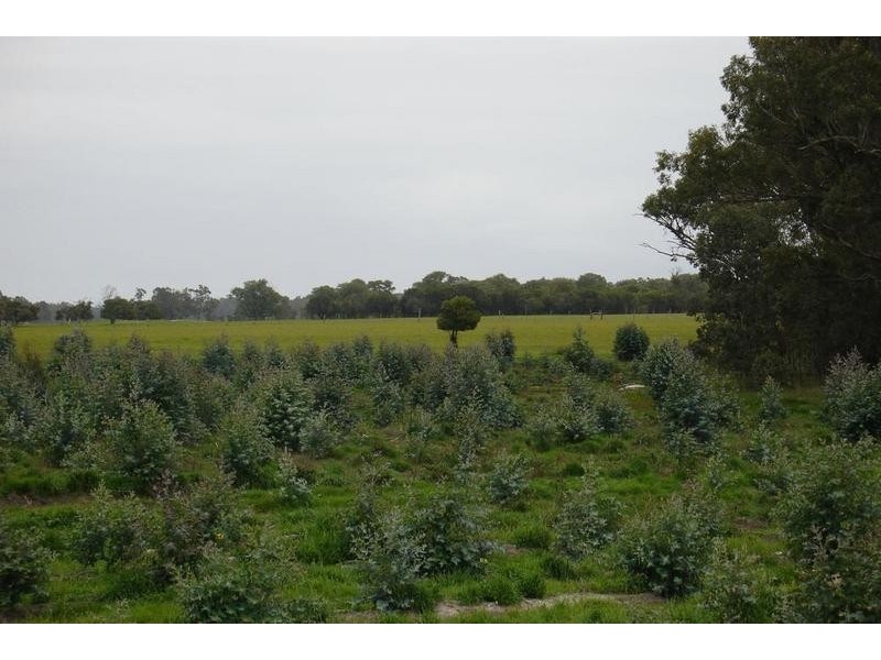 Loc 2014 Downs Road, Tutunup WA 6280