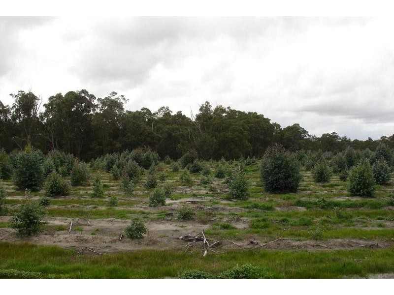 Loc 2014 Downs Road, Tutunup WA 6280