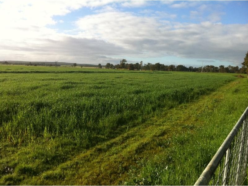 Prop Lot 3 Ludlow Hithergreen Road, Busselton WA 6280