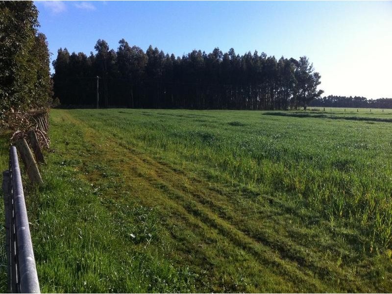 Prop Lot 3 Ludlow Hithergreen Road, Busselton WA 6280