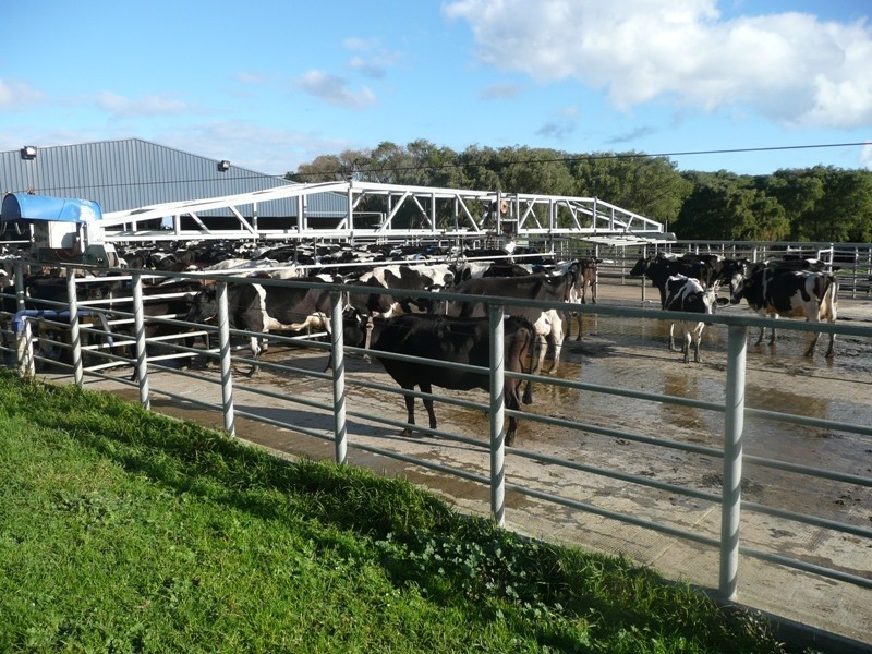 Lot 4161 & 2,  Governor Broome Road Dunmore dairy farm, Scott River WA 6288