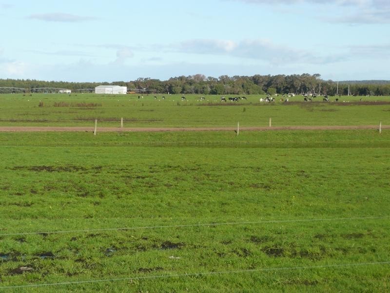 Lot 4161 & 2,  Governor Broome Road Dunmore dairy farm, Scott River WA 6288