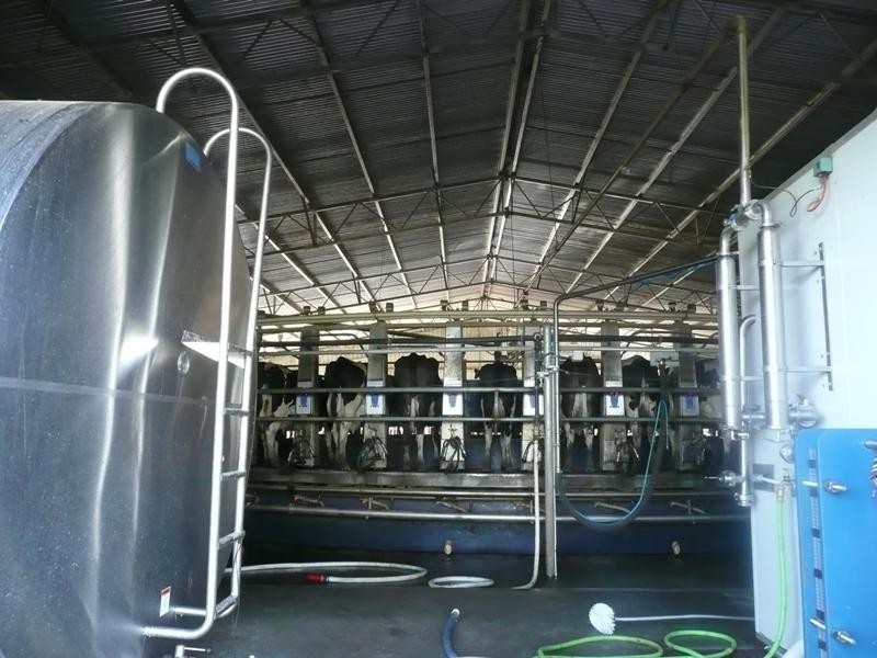 Lot 4161 & 2,  Governor Broome Road Dunmore dairy farm, Scott River WA 6288