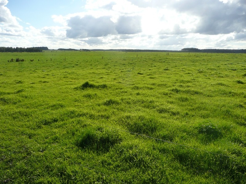 Lot 4161 & 2,  Governor Broome Road Dunmore dairy farm, Scott River WA 6288