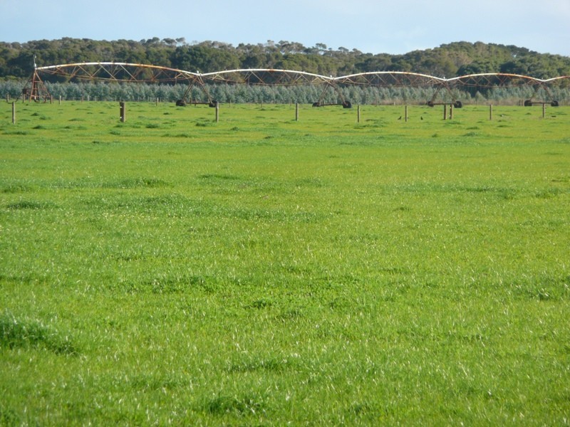 Lot 4161 & 2,  Governor Broome Road Dunmore dairy farm, Scott River WA 6288