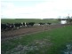 Lot 4161 & 2,  Governor Broome Road Dunmore dairy farm, Scott River WA 6288