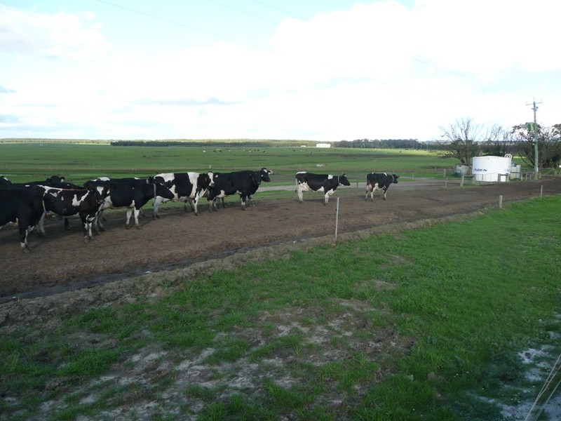 Lot 4161 & 2,  Governor Broome Road Dunmore dairy farm, Scott River WA 6288