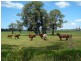 Anniebrook WA 6280