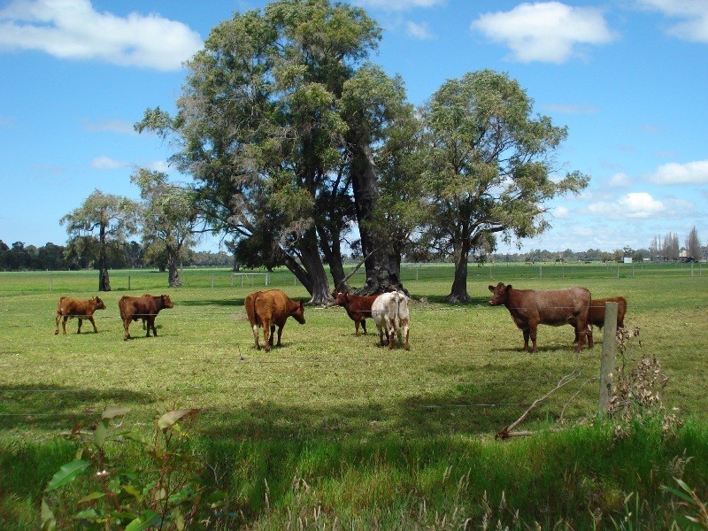 Anniebrook WA 6280