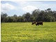 Anniebrook WA 6280
