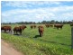 Anniebrook WA 6280
