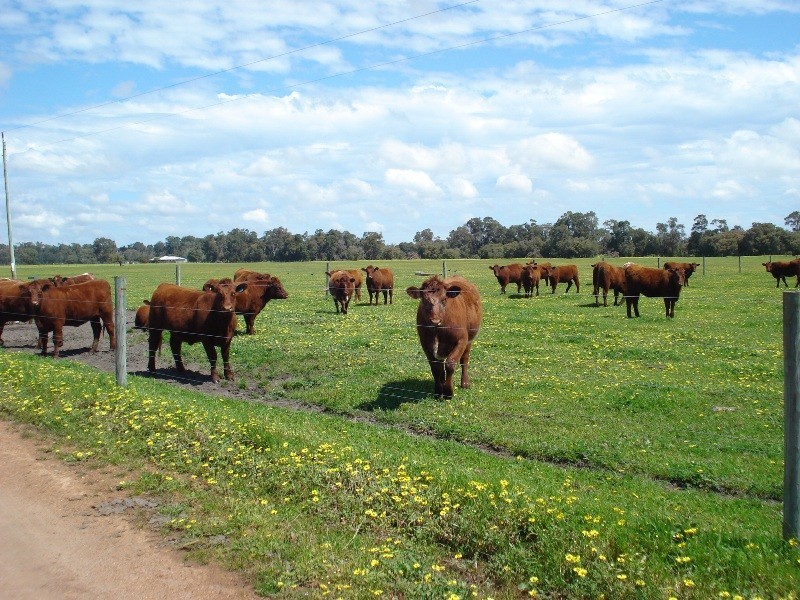Anniebrook WA 6280