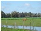 Anniebrook WA 6280