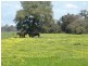 Anniebrook WA 6280