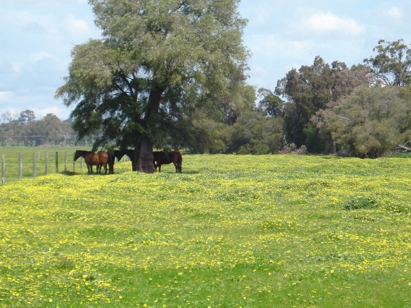 Anniebrook WA 6280