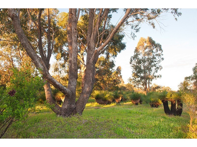 11 Carinya Rise, Dunsborough WA 6281