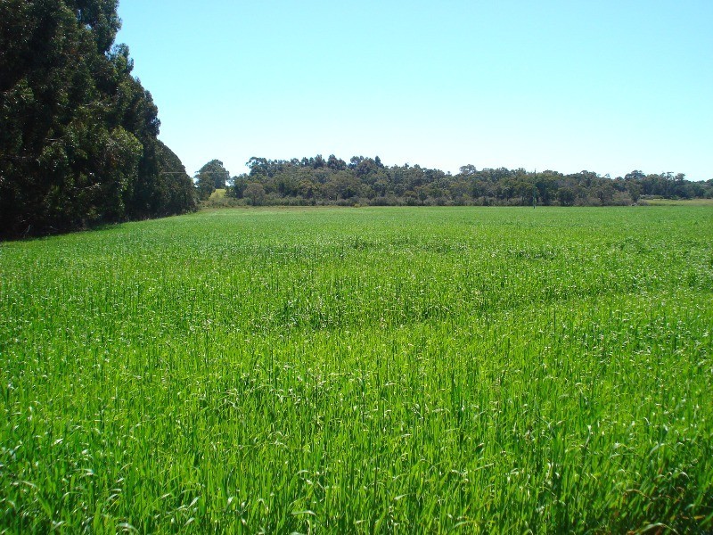 Lot 62, Yelverton road, Yelverton WA 6280