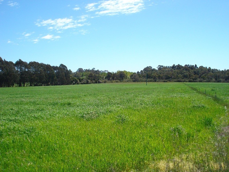 Lot 62, Yelverton road, Yelverton WA 6280