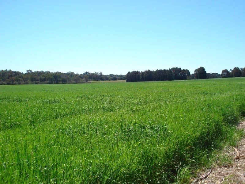 Lot 62, Yelverton road, Yelverton WA 6280