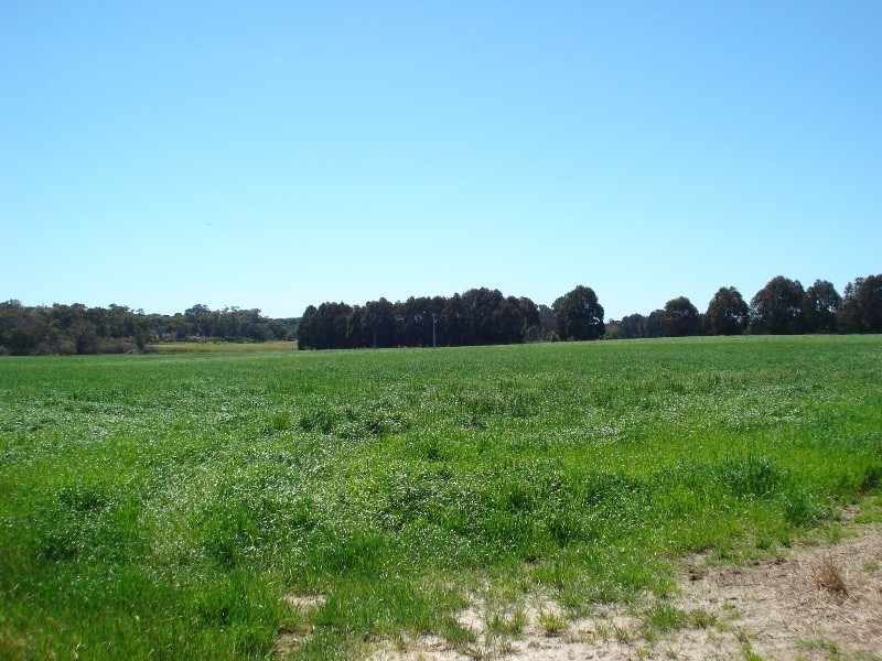 Lot 62, Yelverton road, Yelverton WA 6280