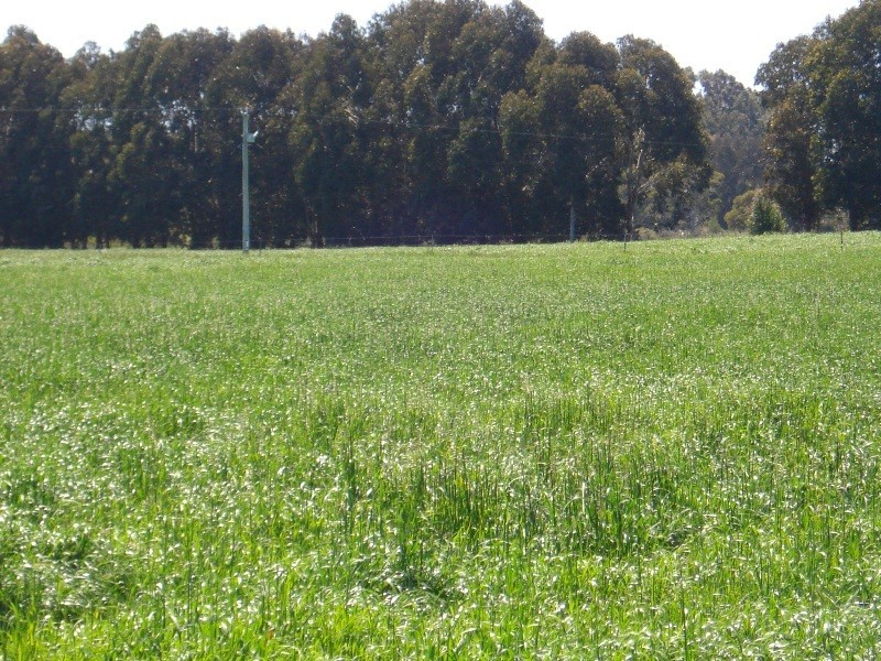 Lot 62, Yelverton road, Yelverton WA 6280