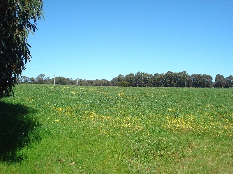 Lot 62, Yelverton road, Yelverton WA 6280