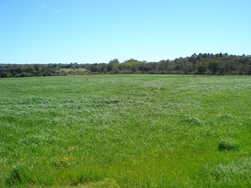 Lot 62, Yelverton road, Yelverton WA 6280