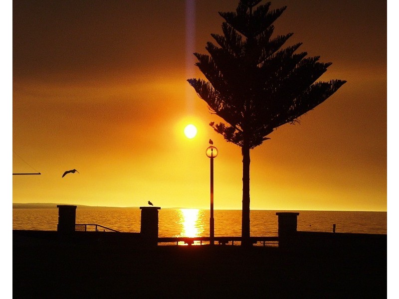 6 Stockyard Lane, Geographe WA 6280