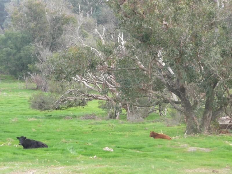 Lot 283 Lindberg Road, Busselton WA 6280