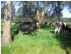 Boyanup WA 6237