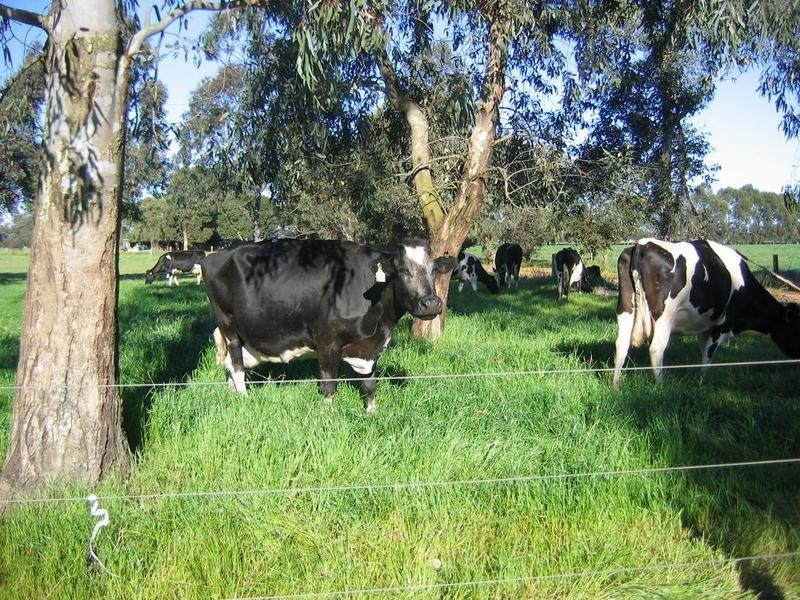 Boyanup WA 6237