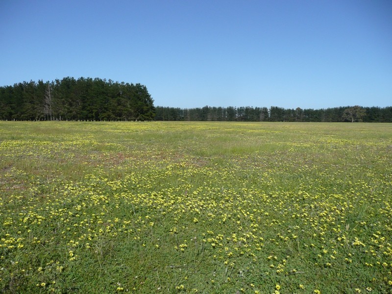 Prop Lot 2 Lindberg Road, Busselton WA 6280