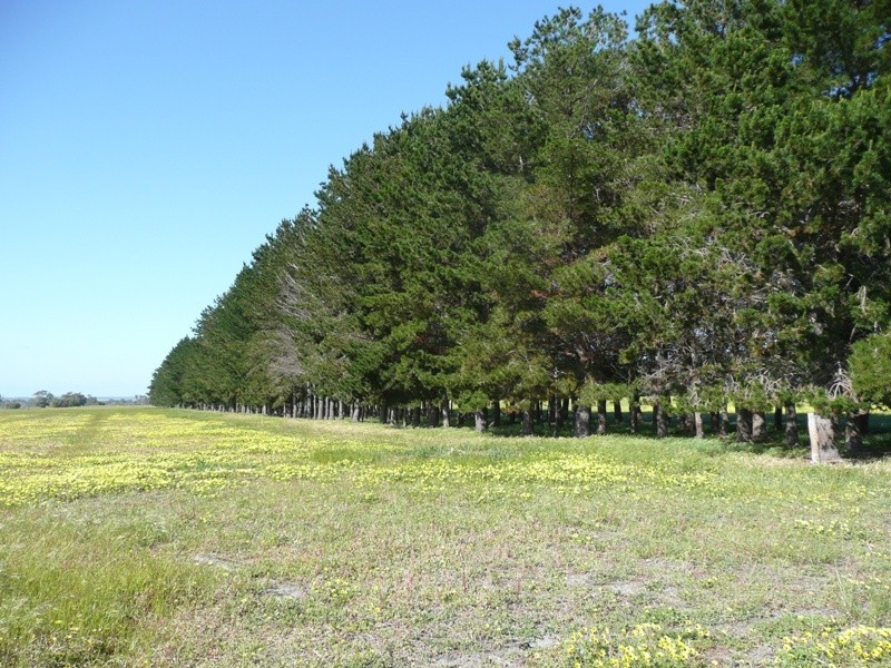 Prop Lot 2 Lindberg Road, Busselton WA 6280