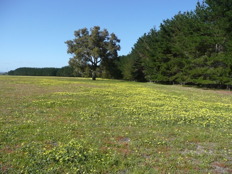 Prop Lot 2 Lindberg Road, Busselton WA 6280
