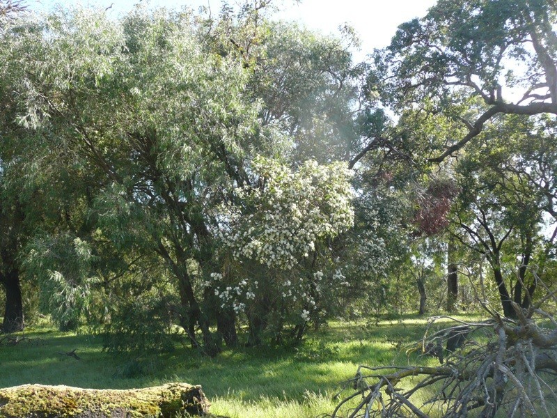 Prop Lot 4 Lindberg Road, Busselton WA 6280