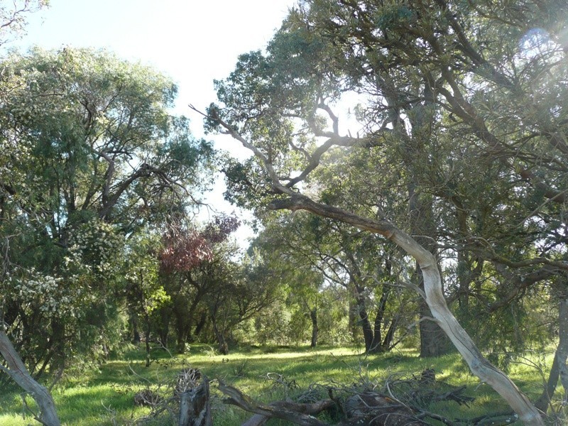 Prop Lot 4 Lindberg Road, Busselton WA 6280