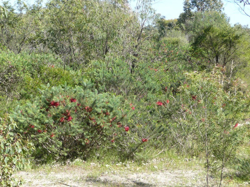 Prop Lot 4 Lindberg Road, Busselton WA 6280