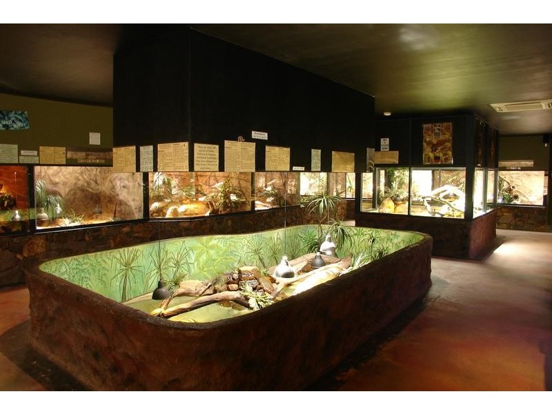 10 Wildwood Road, Carbunup River WA 6280