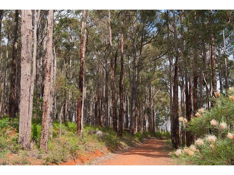 101 Chalwell Road, Nannup WA 6275