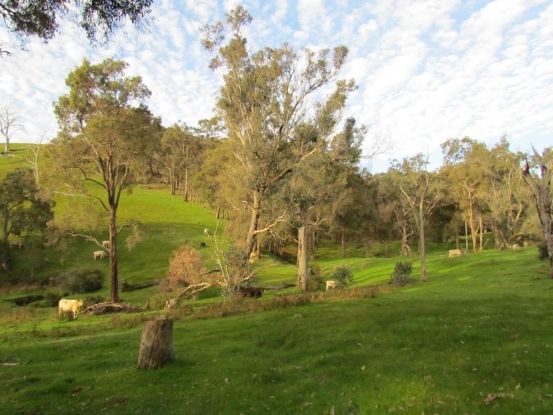 Brookhampton WA 6239