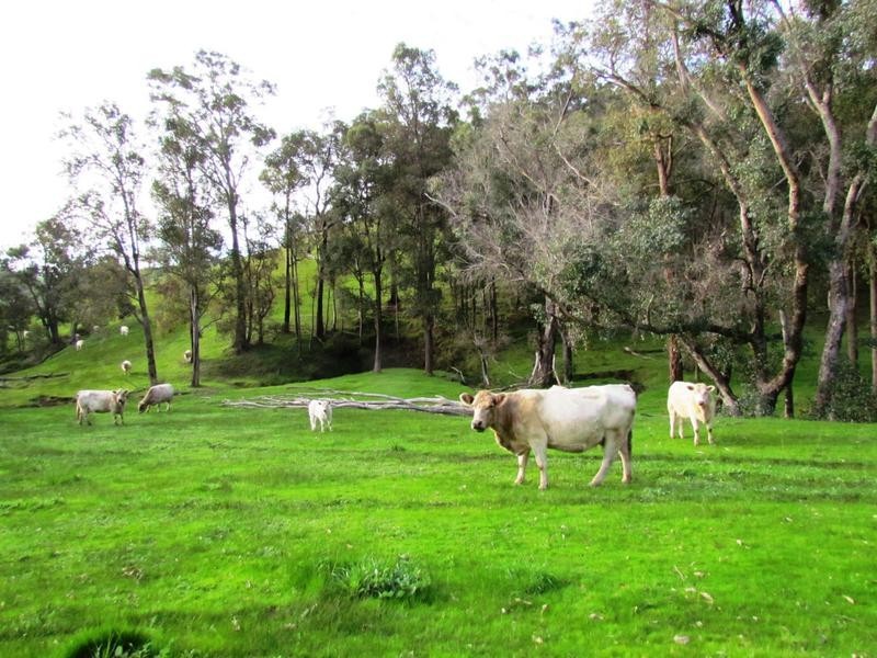 Brookhampton WA 6239