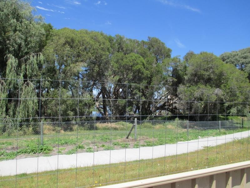 6 Shelduck Court VIA Broadwater, Busselton WA 6280