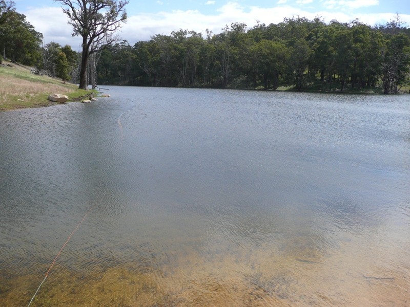 Donnybrook WA 6239