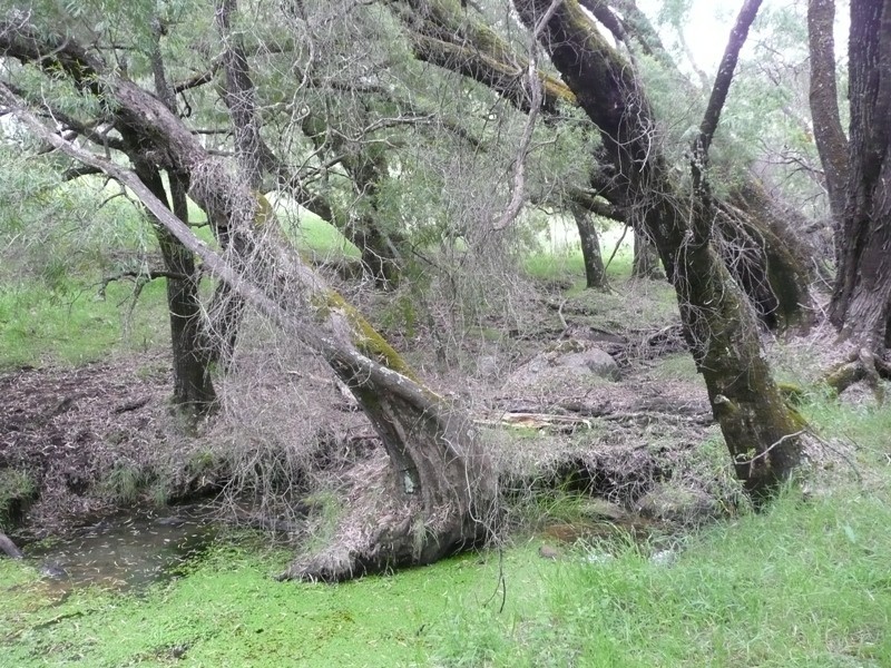 Donnybrook WA 6239