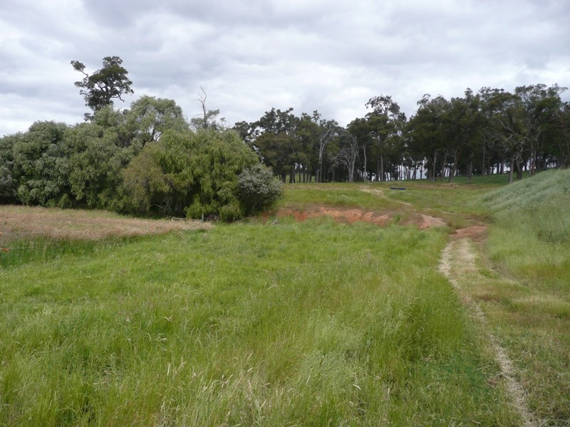 Donnybrook WA 6239