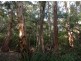Lot 110,  Caves Road, Gracetown WA 6284