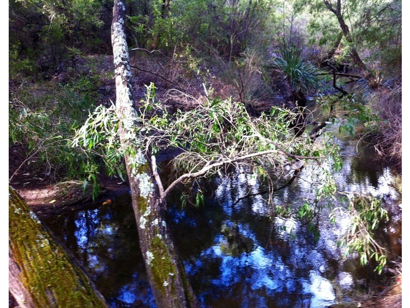 Lot 110,  Caves Road, Gracetown WA 6284