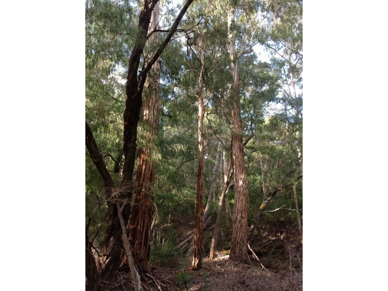 Lot 110,  Caves Road, Gracetown WA 6284